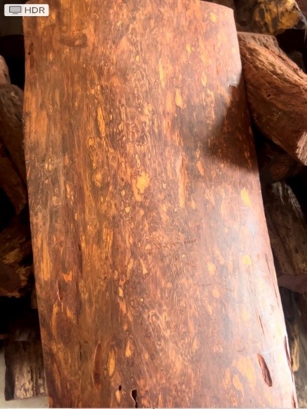 Vòng Gỗ Tâm Anh
